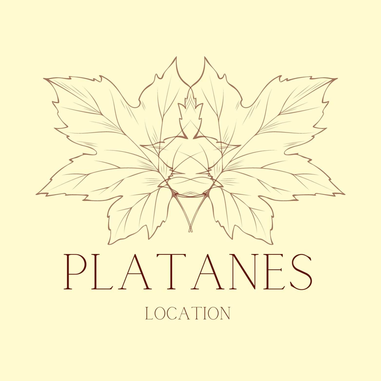 Hotel Platanes - Kb Hotel Group Etauliers Exteriér fotografie